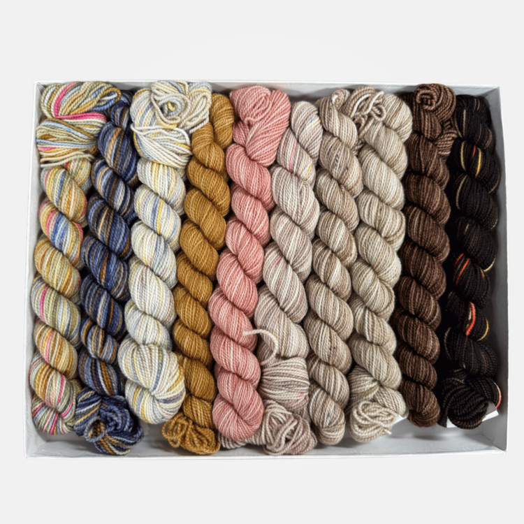 Koigu KPPPM Pencil Box Set | Latte Venation