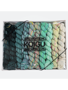 Koigu KPPPM Pencil Box Set | Mojito Venation