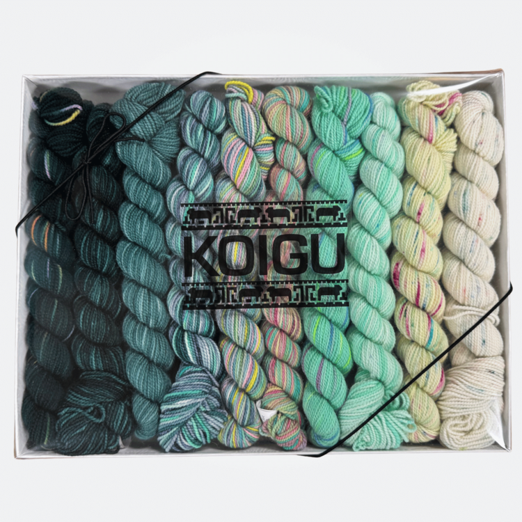 Koigu KPPPM Pencil Box Set | Mojito Venation