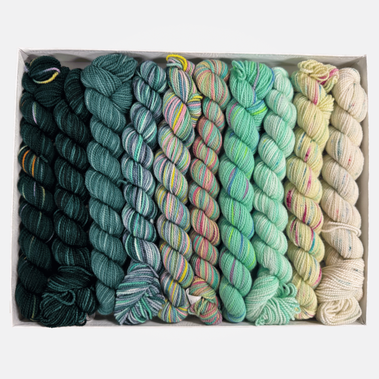 Koigu KPPPM Pencil Box Set | Mojito Venation