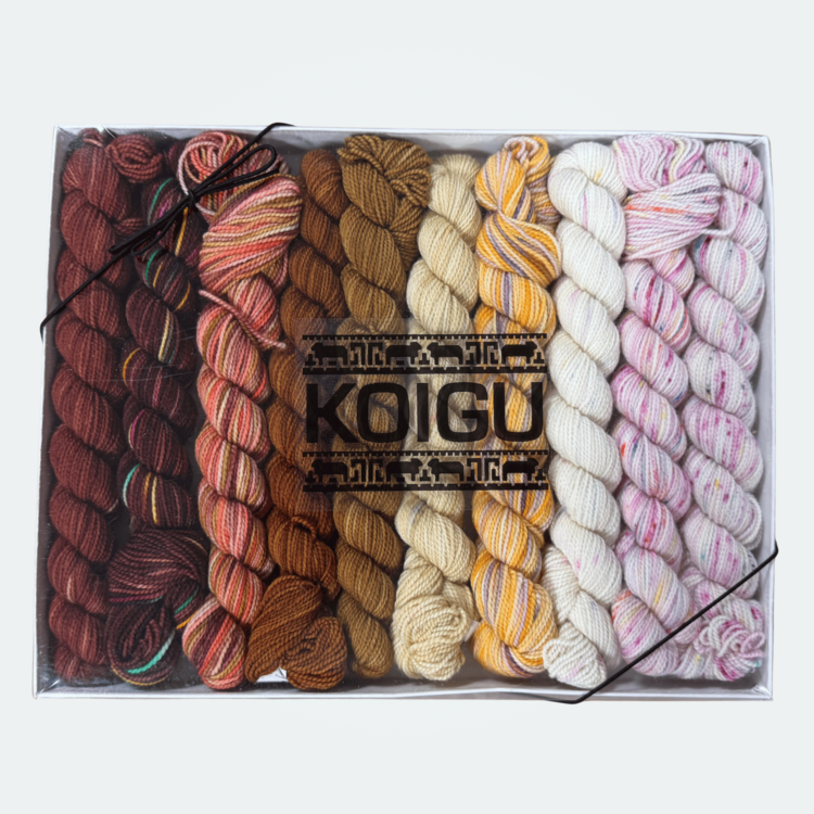Koigu KPPPM Pencil Box Set | Original Venation