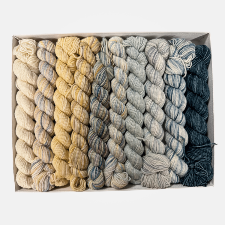 Koigu KPPPM Pencil Box Set | Sea Breeze Venation