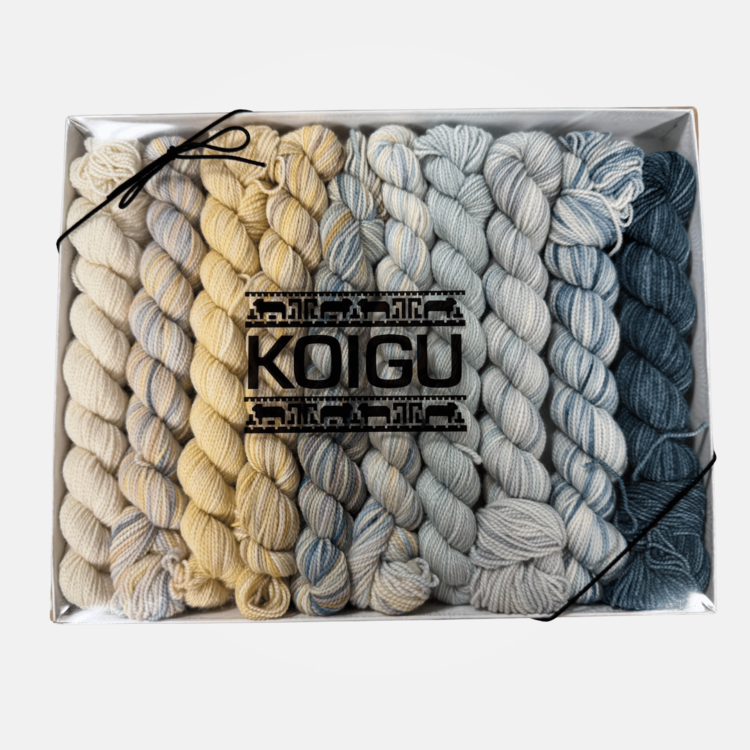 Koigu KPPPM Pencil Box Set | Sea Breeze Venation