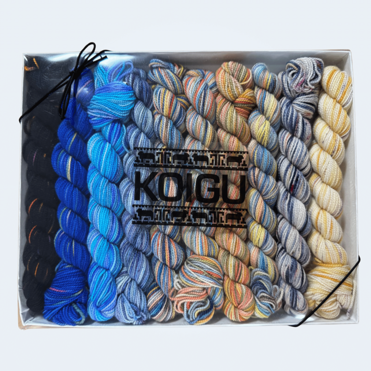 Koigu KPPPM Pencil Box Set | Shadow Spice Venation