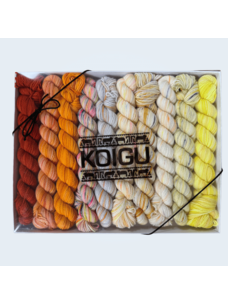 Koigu KPPPM Pencil Box Set | Sunflower Sky Venation