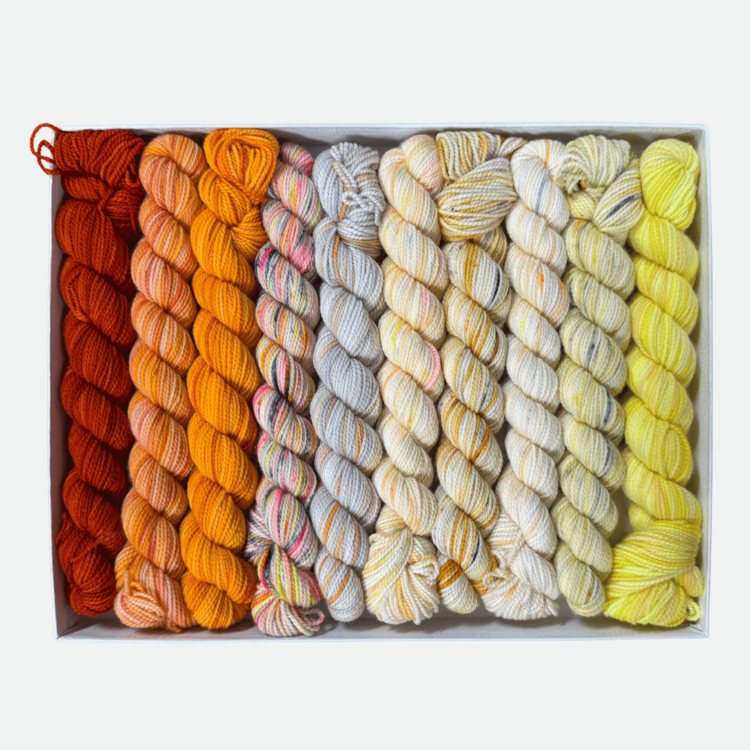 Koigu KPPPM Pencil Box Set | Sunflower Sky Venation