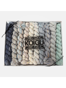Koigu KPPPM Pencil Box Set | Winter Storm