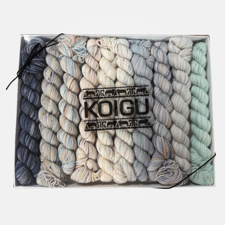 Koigu KPPPM Pencil Box Set | Winter Storm