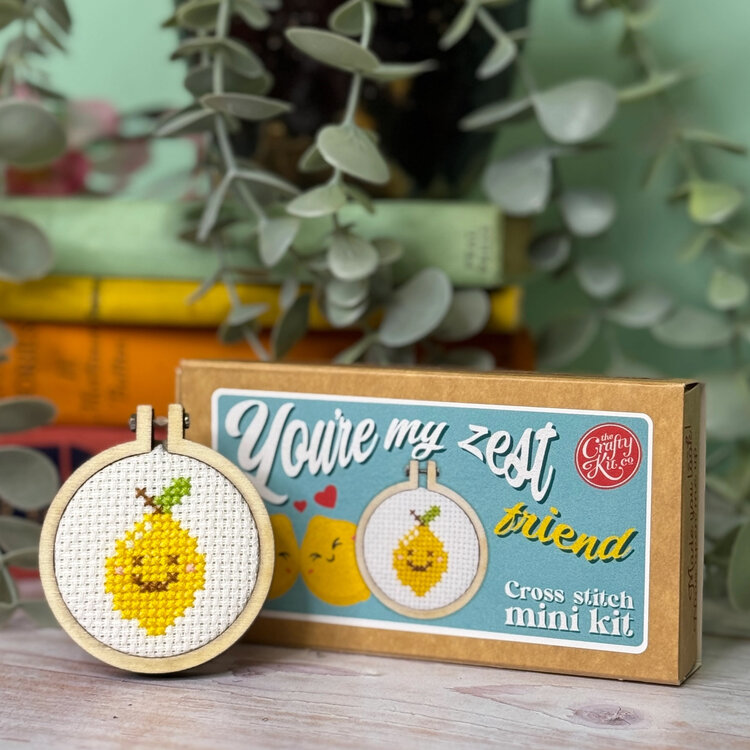 The Crafty Kit Company 'You're my Zest Friend!' Mini Matchbox Cross Stitch Kit