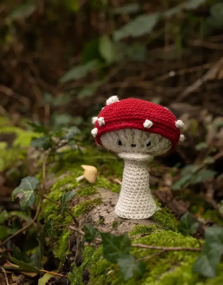 TOFT Toadstool