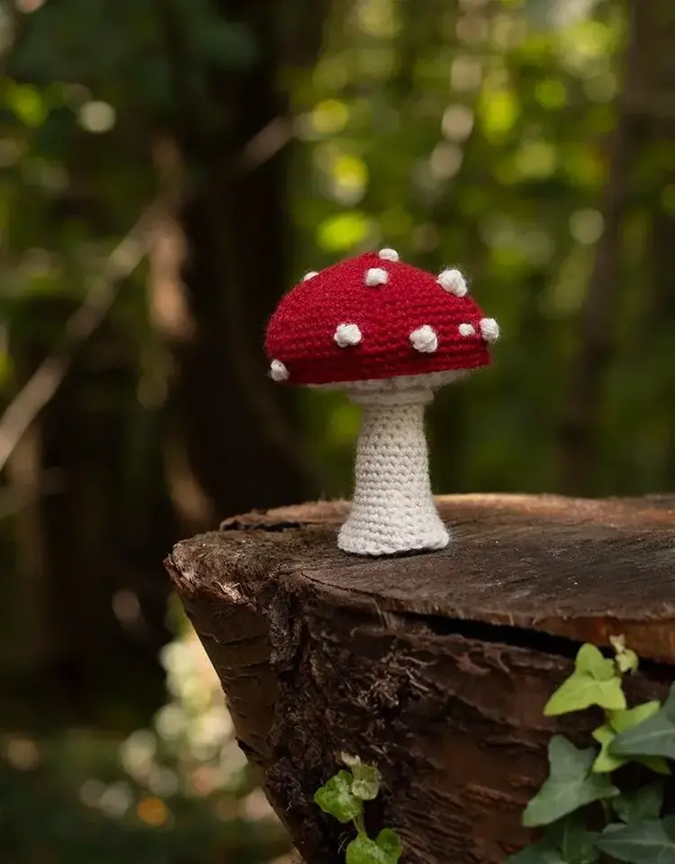 TOFT Toadstool