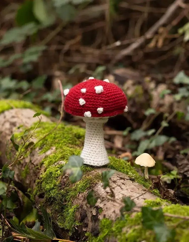 TOFT Toadstool