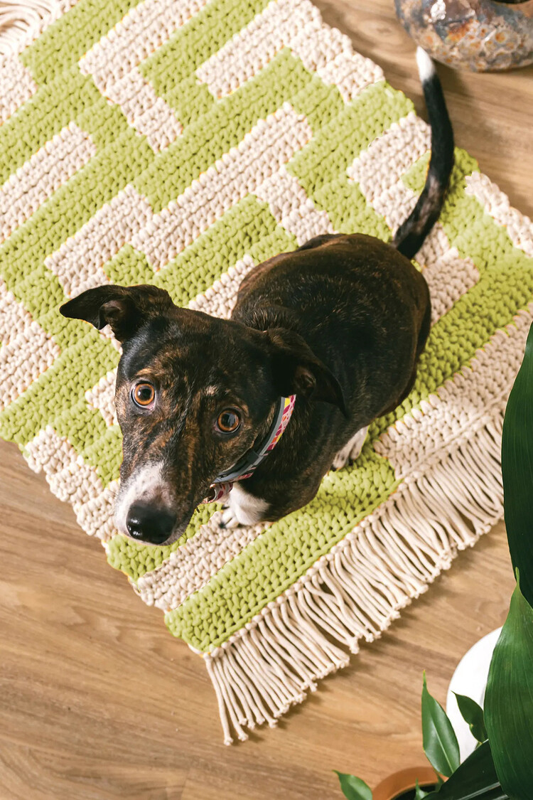 DMC Home Decor Projects