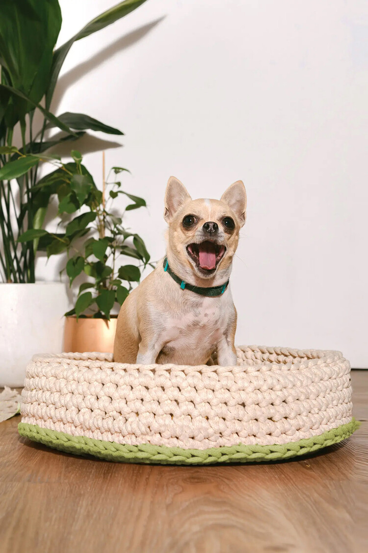 DMC Home Decor Projects