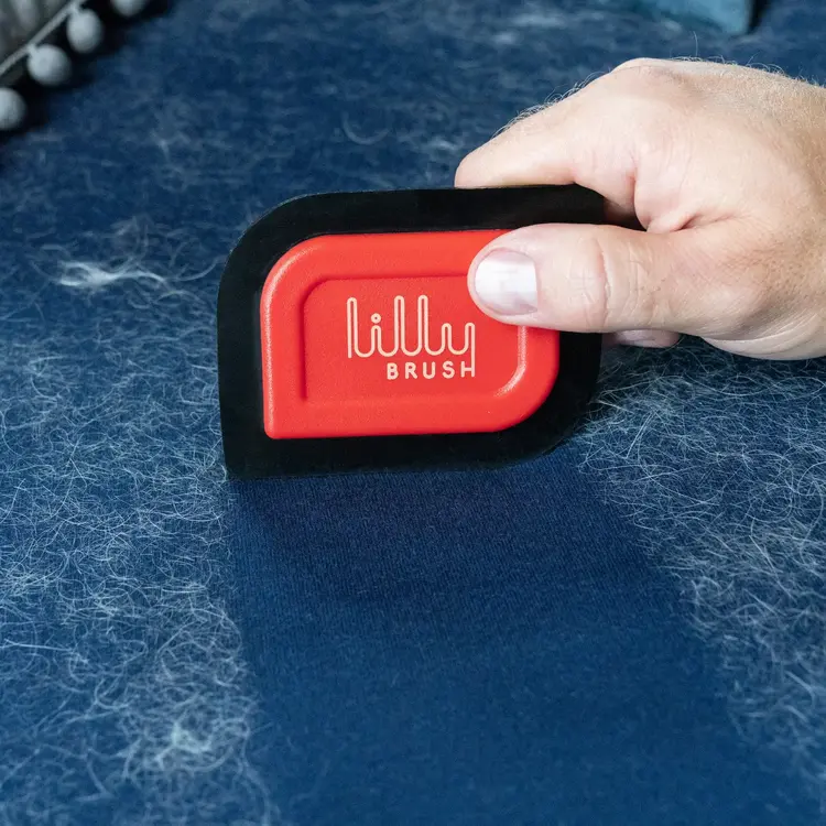 Lilly Brush Mini Pet Hair Detailer