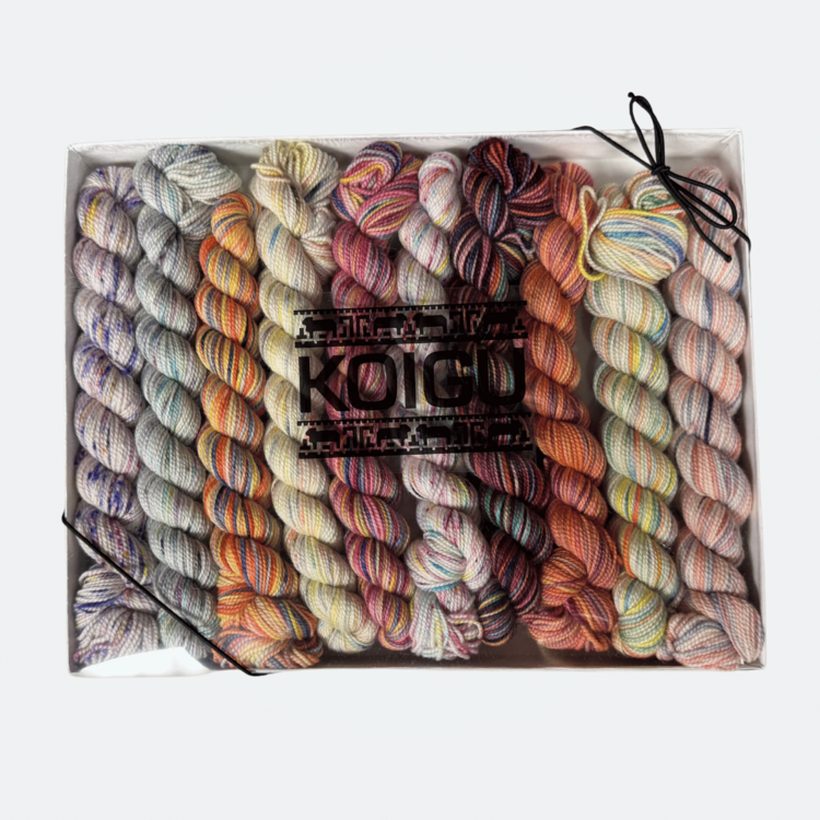 Koigu KPPPM Pencil Box Set | Salsa