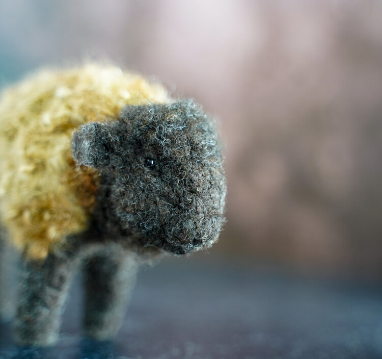 Bear Creek Felting Bison Felting Kit