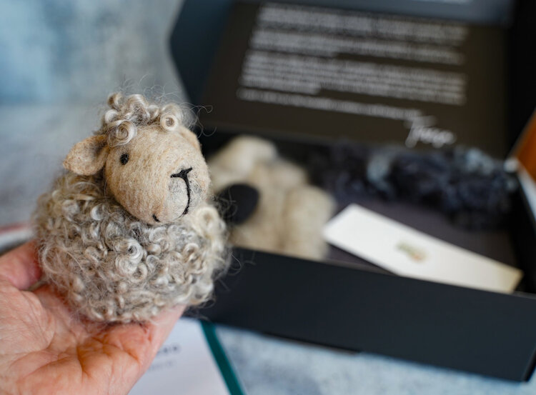 Bear Creek Felting Black Sheep Felting Kit