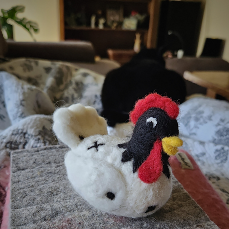 Bear Creek Felting White Chicken Felting Kit