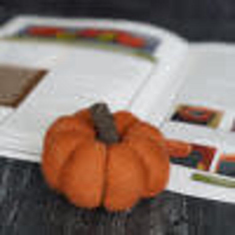 Bear Creek Felting Pumpkin Felting Kit