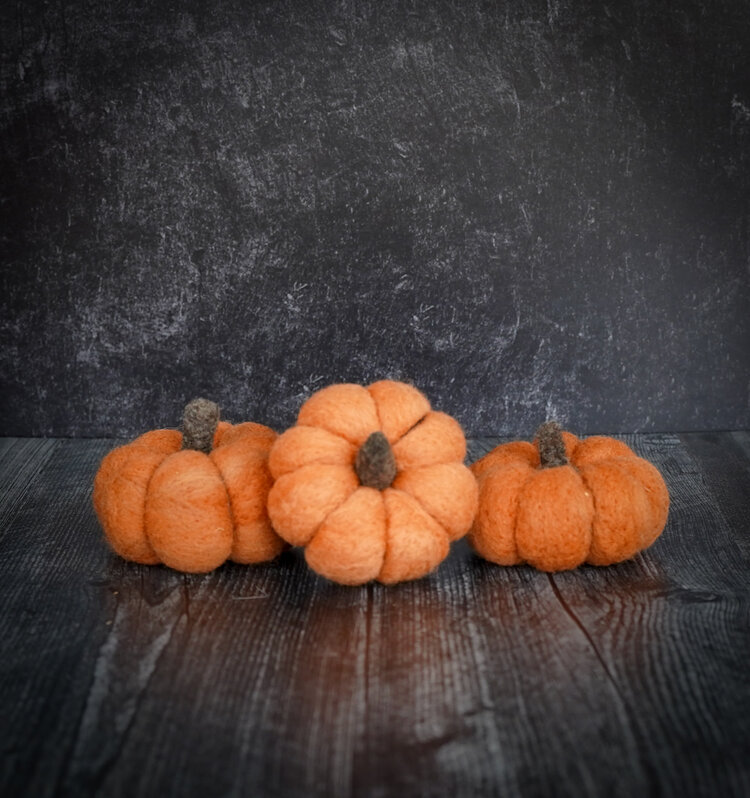 Bear Creek Felting Pumpkin Felting Kit