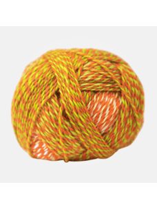 Schoppel-Wolle Crazy Boys | 2706 (Olaf)