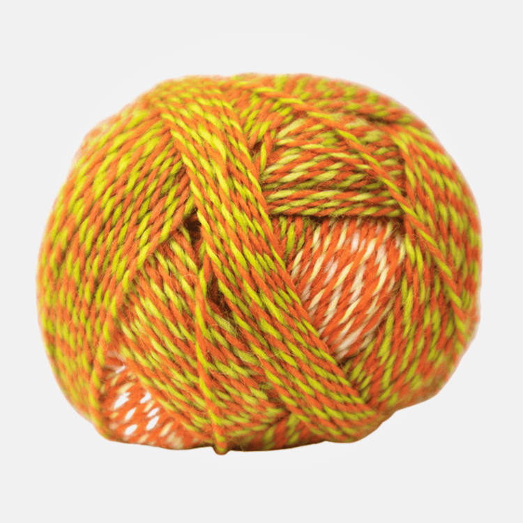 Schoppel-Wolle Crazy Boys | 2706 (Olaf)