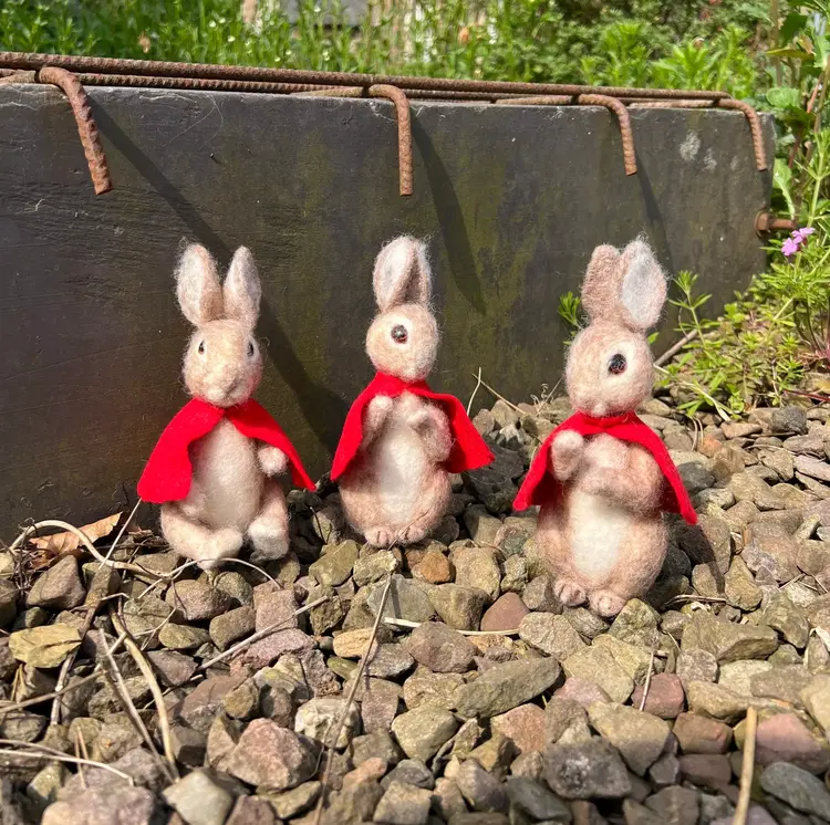 The Crafty Kit Company Beatrix Potter - Flopsy Mopsy & Cotton-tail Needle Felting Kit