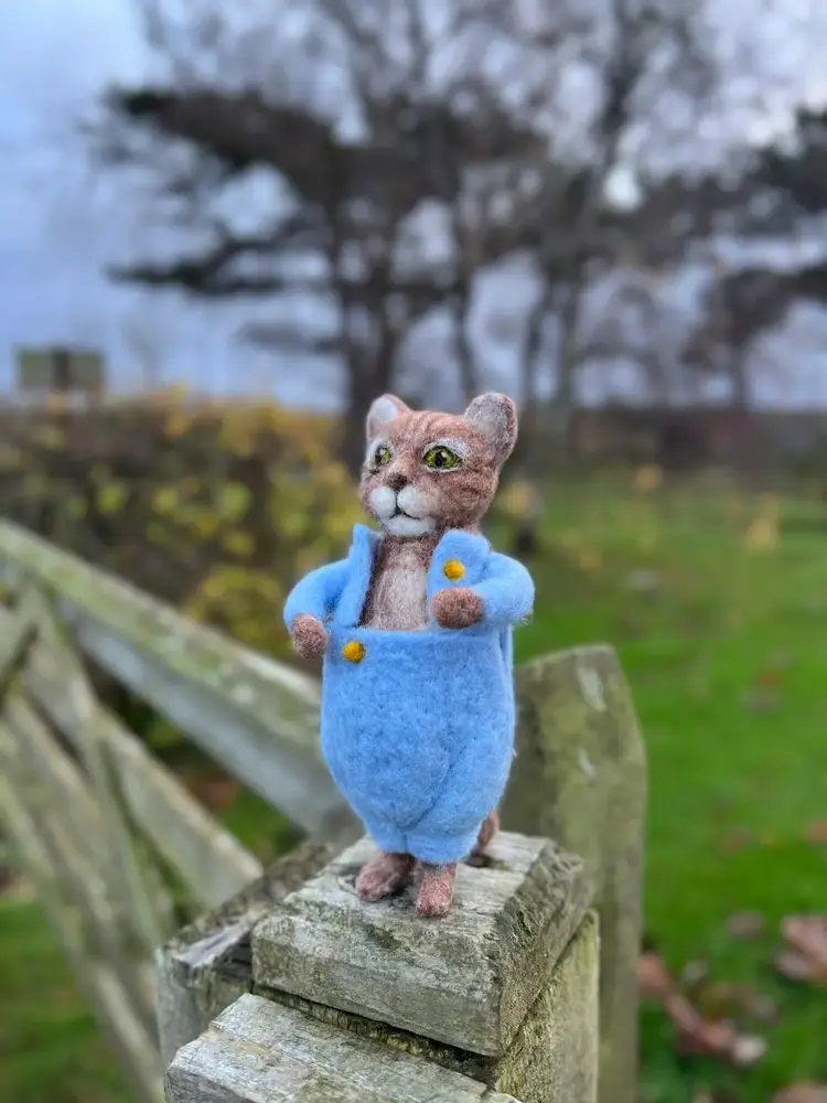 The Crafty Kit Company Beatrix Potter - Tom Kitten Needle Felting Kit