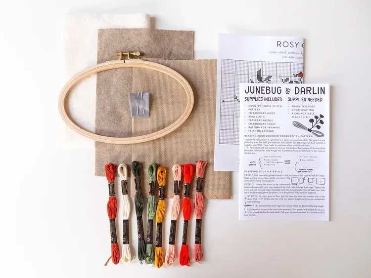 Junebug and Darlin Rosy Chaos Cross Stitch Kit