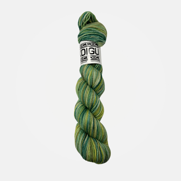Koigu KPPPM | P514