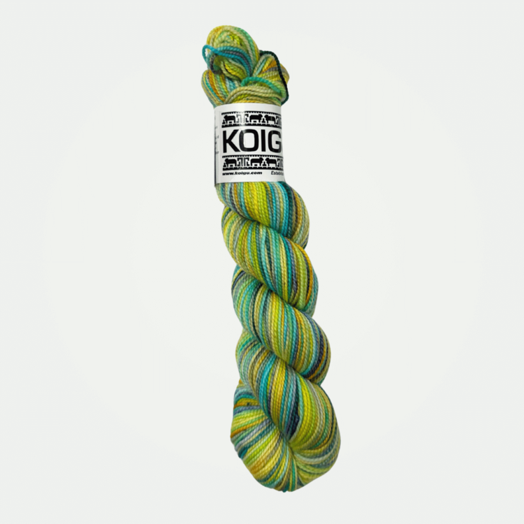 Koigu KPPPM | P537