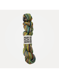 Koigu KPPPM | P458