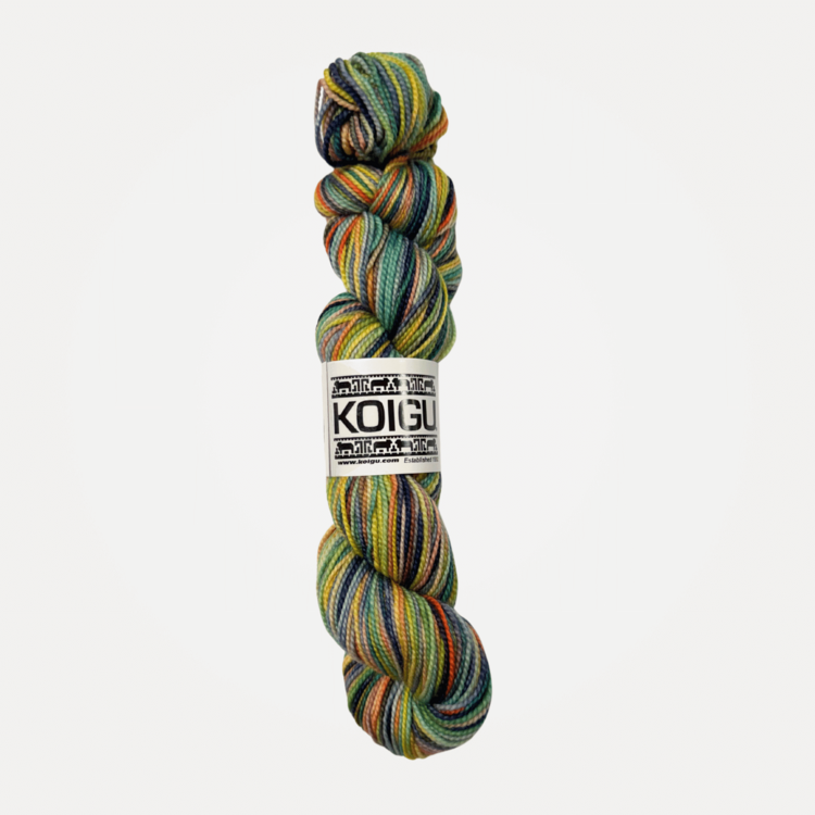 Koigu KPPPM | P458