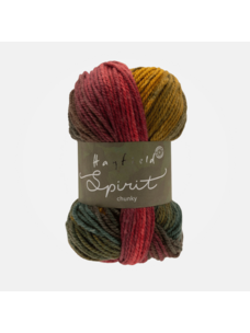 Hayfield Spirit Chunky | 415 (Autumn)