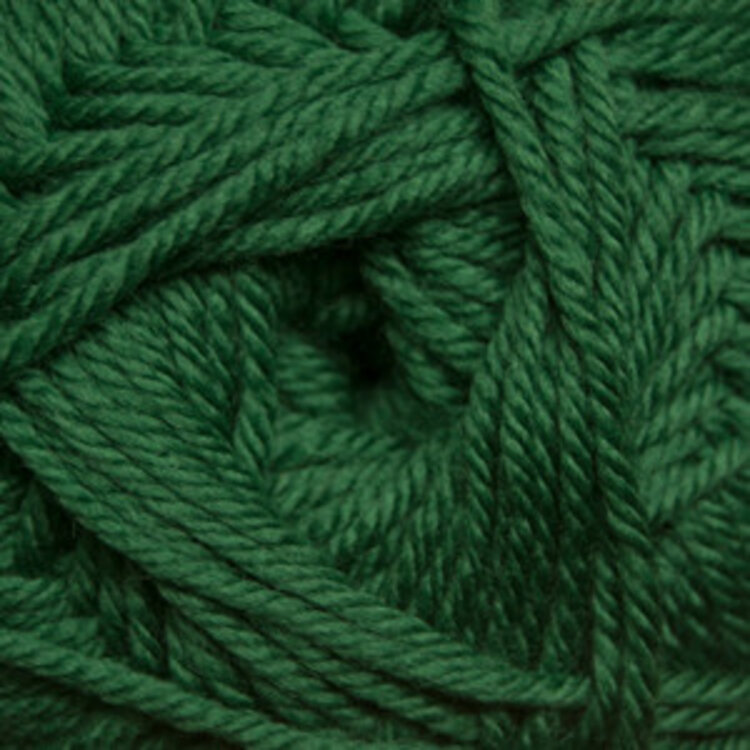 Cascade Yarns 220 Superwash Merino | 16 (Verdant Green)