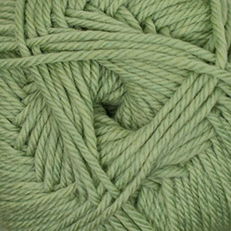 Cascade Yarns 220 Superwash Merino | 42 (Celery Heather)