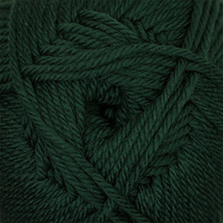Cascade Yarns 220 Superwash Merino | 43 (Pine)