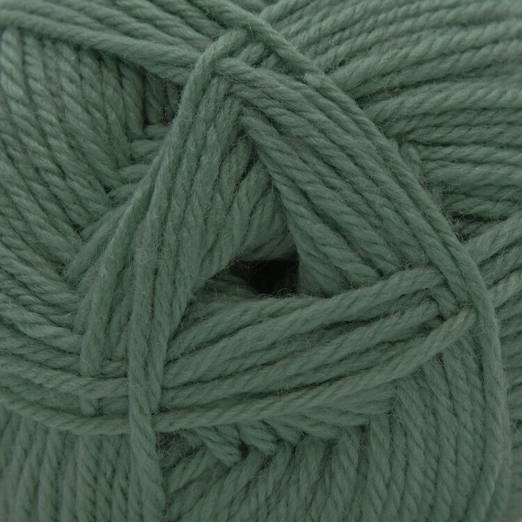Cascade Yarns 220 Superwash Merino | 126 (Lily Pad)