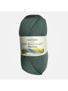 Cascade Yarns 220 Superwash Merino | 136 (Silver Pine)