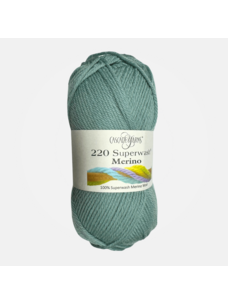 Cascade Yarns 220 Superwash Merino | 126 (Lily Pad)