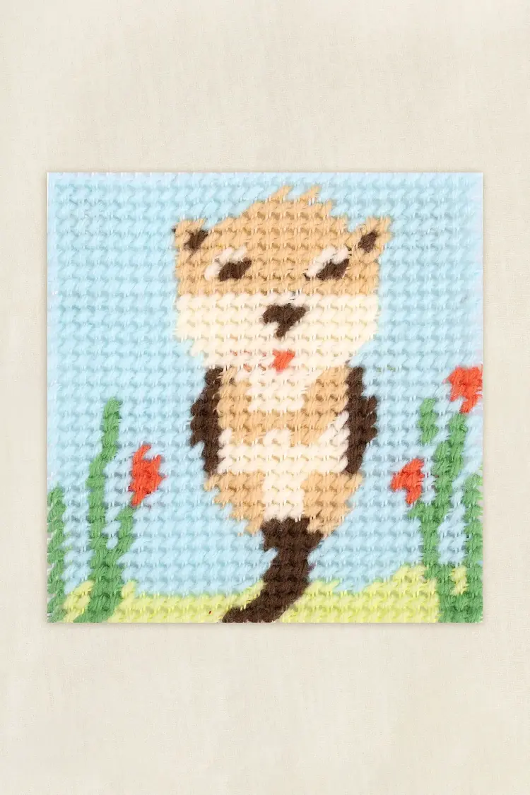 DMC Ollie the Otter Needlepoint Kit for Kids