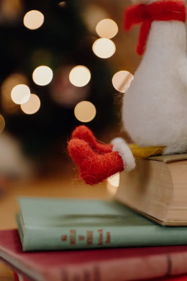 The Crafty Kit Company Winter Goose Needle Felting Kit