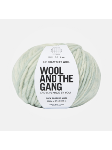 Wool and the Gang Lil' Crazy Sexy Wool | Duck Egg Blue Marl