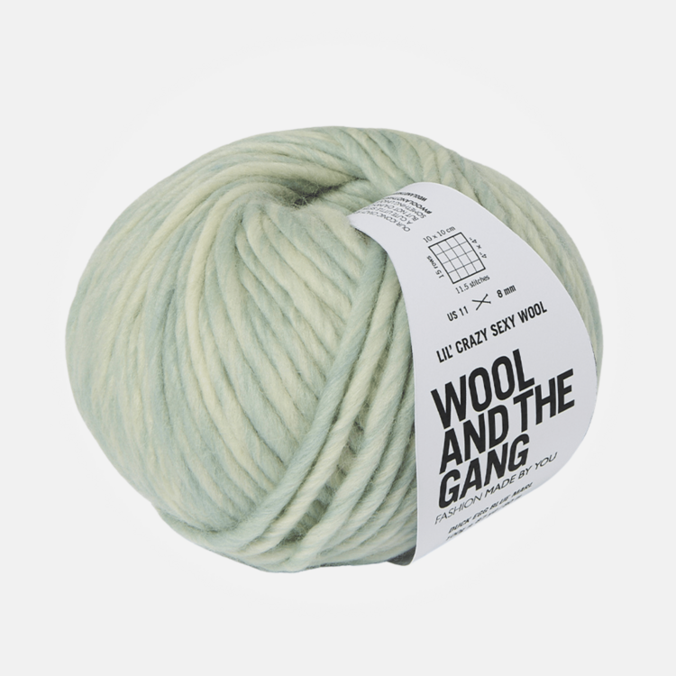 Wool and the Gang Lil' Crazy Sexy Wool | Duck Egg Blue Marl