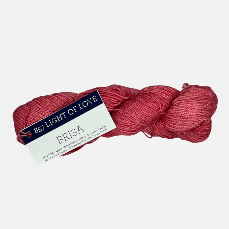 Malabrigo Brisa | Light of Love (857)