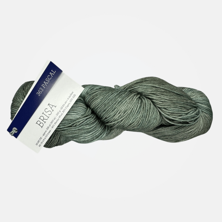 Malabrigo Brisa | Pascal (363)