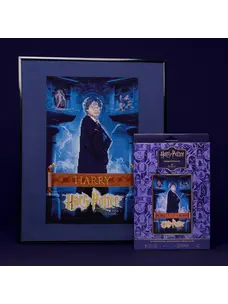 DMC Harry Potter Kit | Film Poster