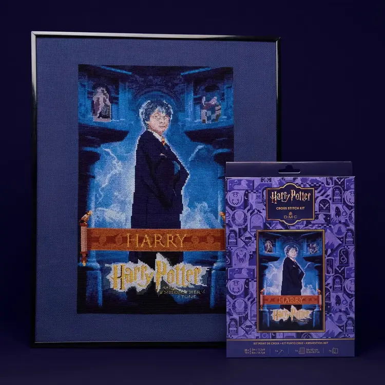DMC Harry Potter Kit | Film Poster