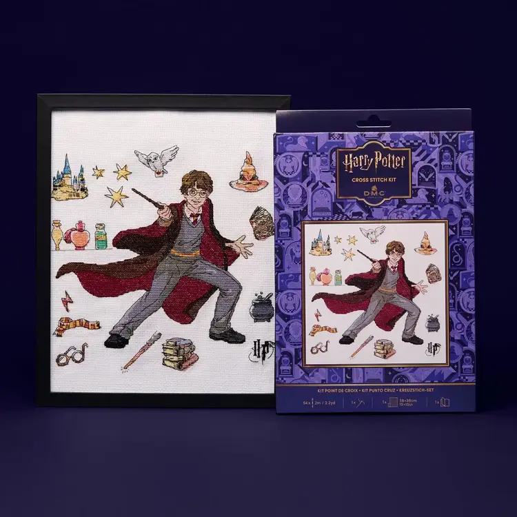 DMC Harry Potter Kit | Potions